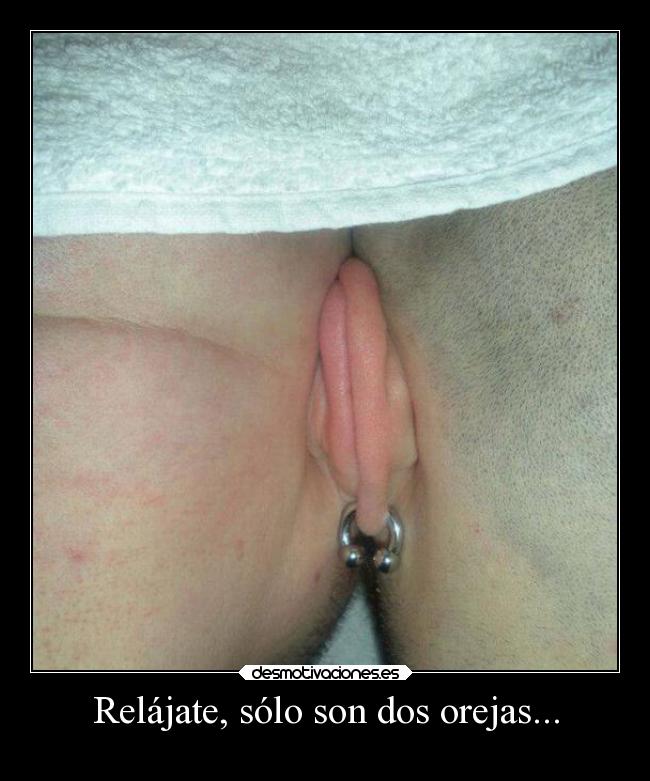 Relájate, sólo son dos orejas... - 