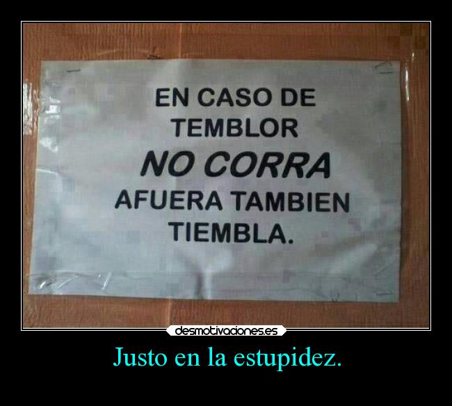 Justo en la estupidez. - 