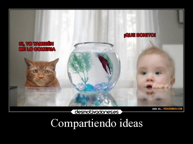 Compartiendo ideas -