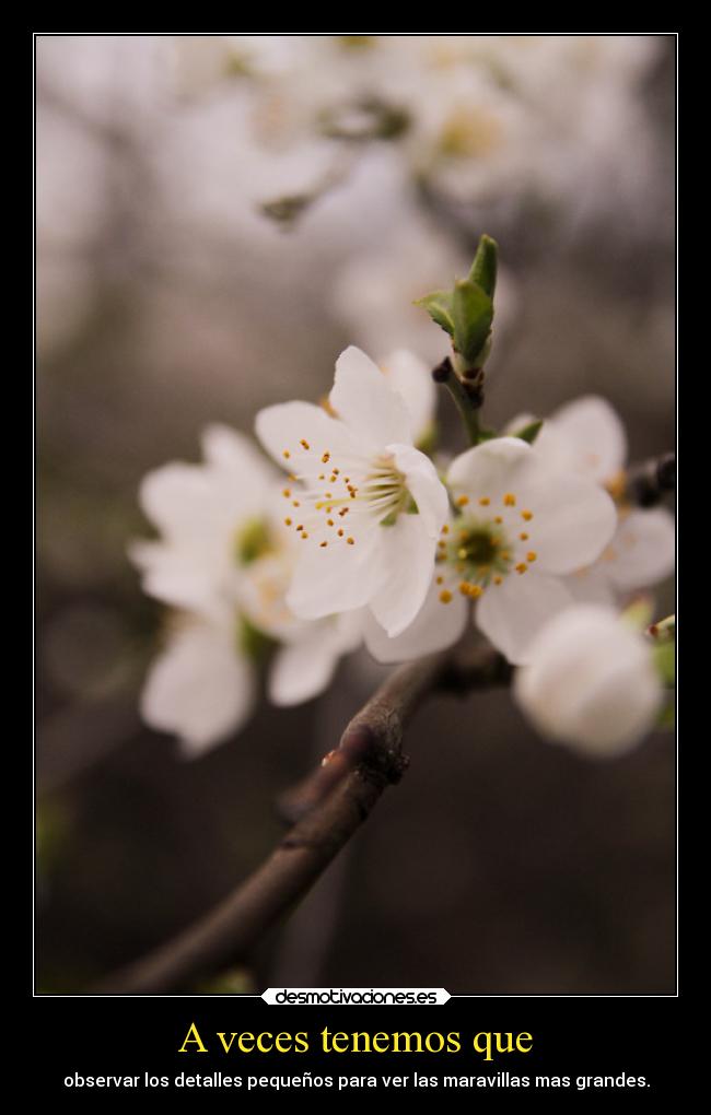 A veces tenemos que - 