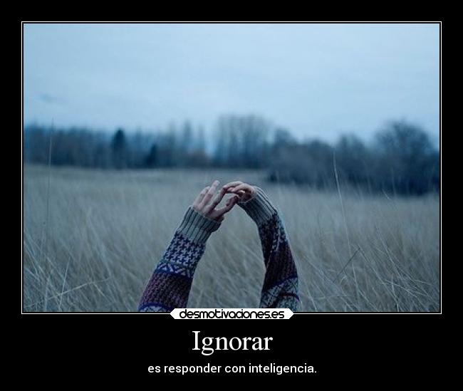 Ignorar - 