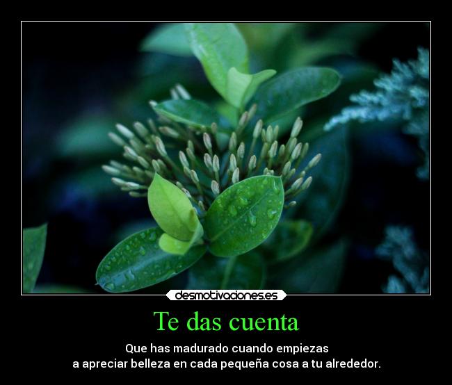 carteles imaginacion plantas rocio agua evolucion kuroshonen mdteach desmotivaciones