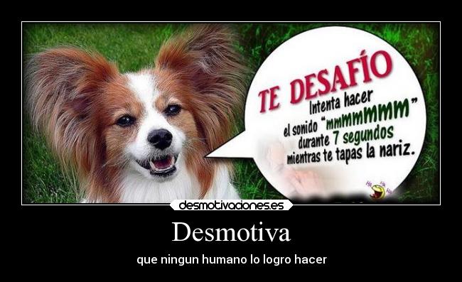 Desmotiva - que ningun humano lo logro hacer