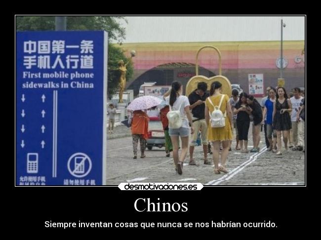 Chinos - 