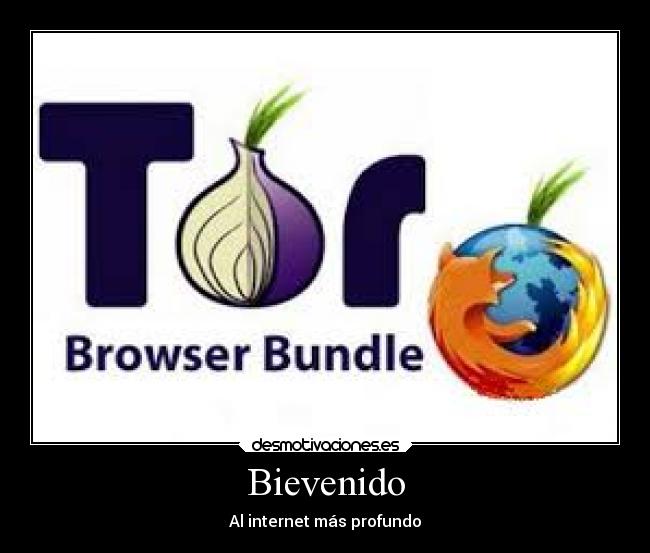 Bievenido - Al internet más profundo