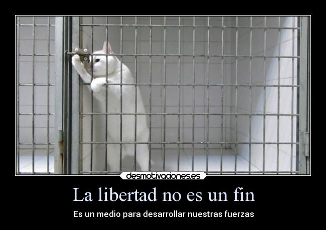 La libertad no es un fin - 