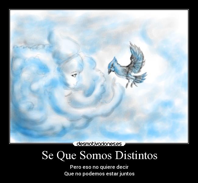 carteles libertad igualdad desafio pajaro nube desmotivaciones