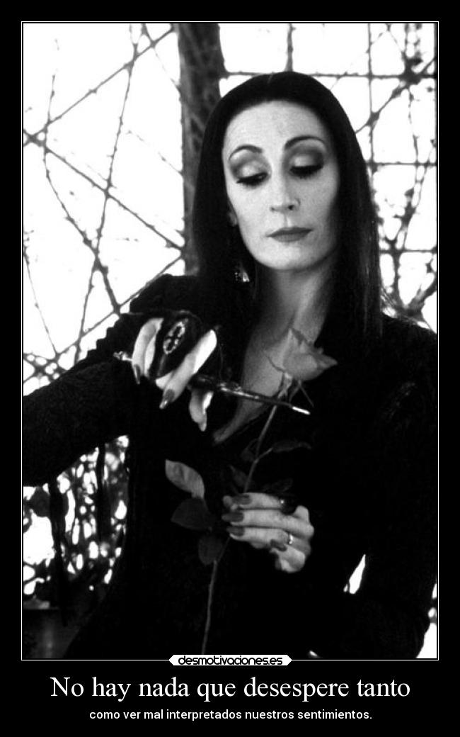 No hay nada que desespere tanto - como ver mal interpretados nuestros sentimientos.