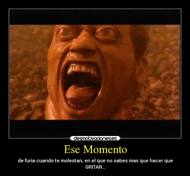 carteles locura graciosas desmotivaciones