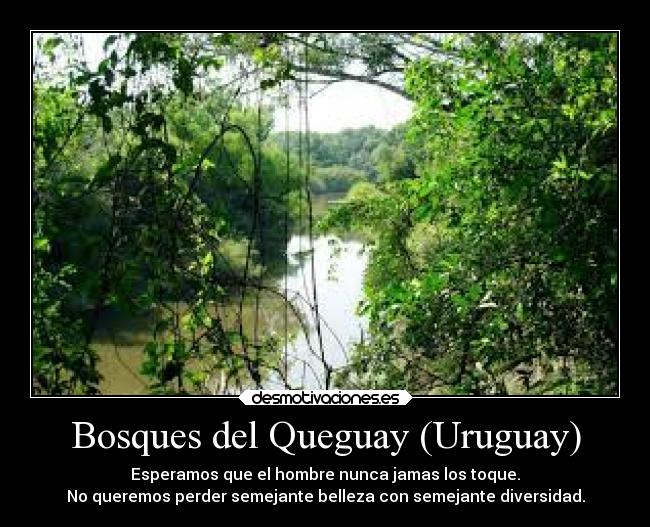 Bosques del Queguay (Uruguay) - 