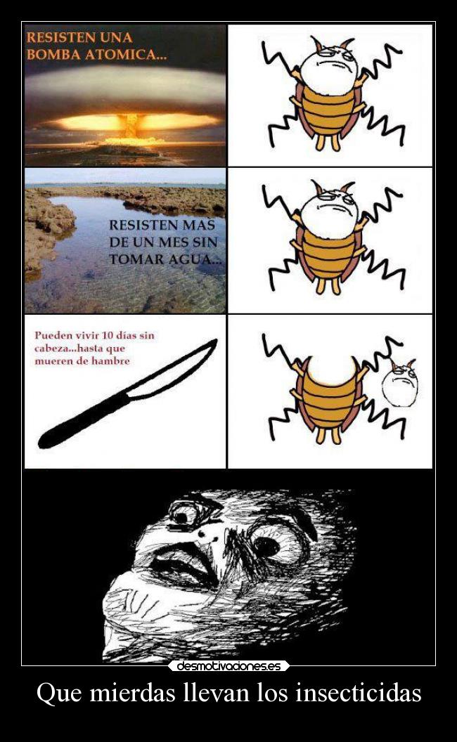 Que mierdas llevan los insecticidas -