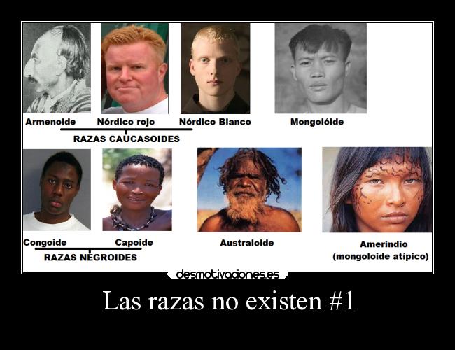 Las razas no existen #1 - 