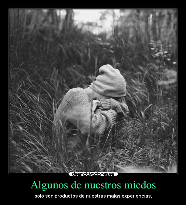 Algunos de nuestros miedos - 