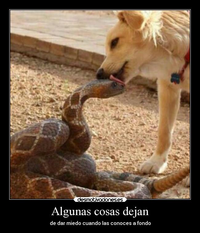 Algunas cosas dejan - de dar miedo cuando las conoces a fondo