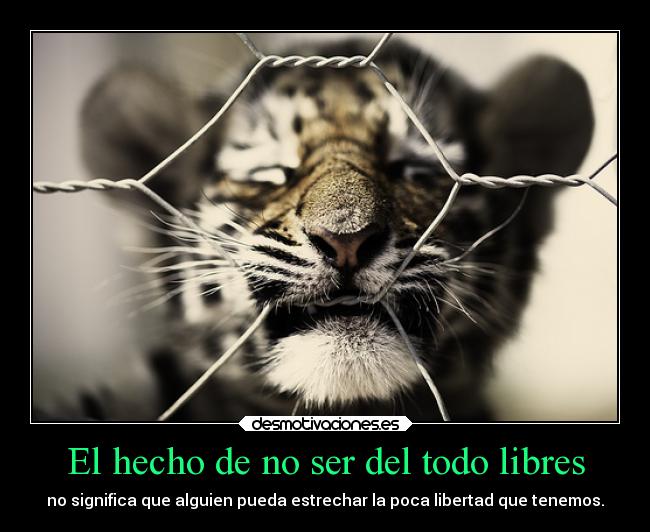 El hecho de no ser del todo libres - 