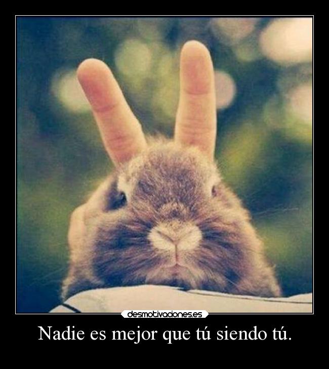 carteles motivaciones vida sebastian656 madebysebas realidadesperdidas realidad talentos exito desmotivaciones