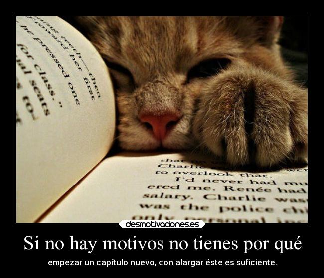 Si no hay motivos no tienes por qué -