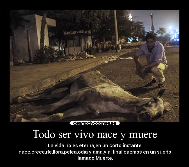 Todo ser vivo nace y muere - 
