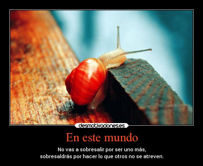 carteles mundo animales caracol sexy cosas buenas mdteach kuroshonen desmotivaciones