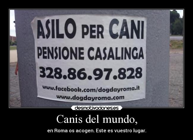Canis del mundo, - 