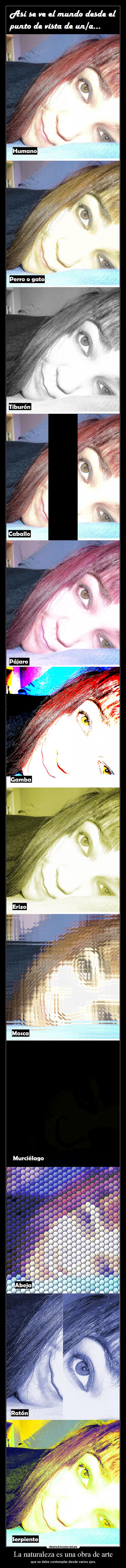 carteles naturaleza arte naturaleza estado puro desde varios ojos desmotivaciones