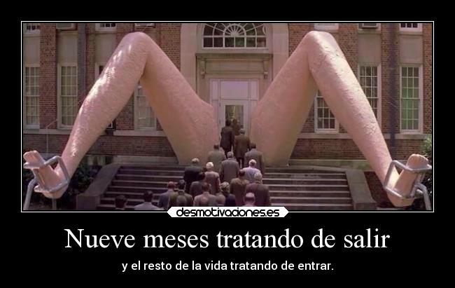 carteles naturaleza desmotivaciones