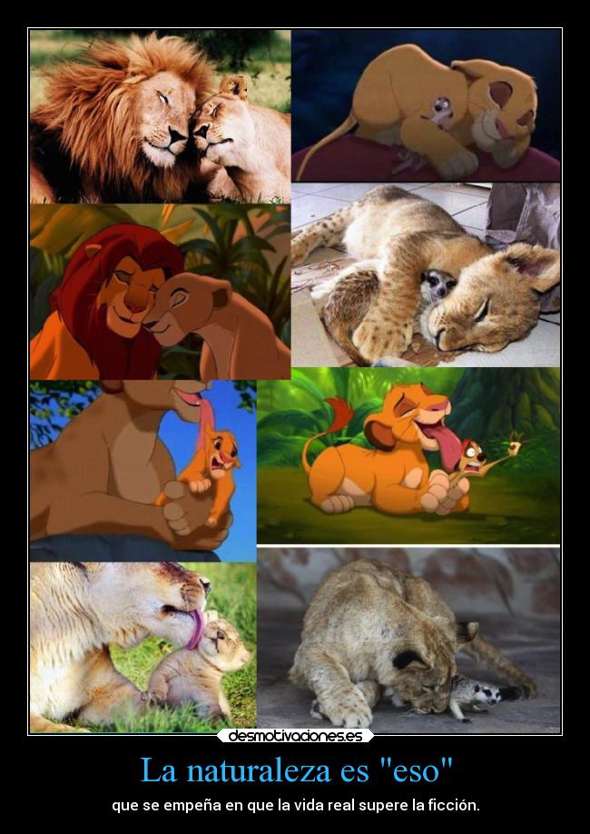 La naturaleza es eso - que se empeña en que la vida real supere la ficción.