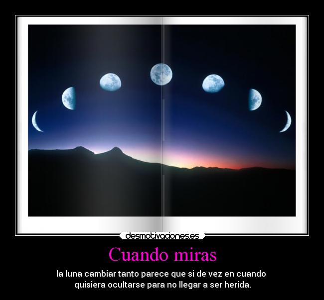 carteles naturaleza luna desmotivaciones