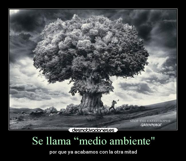 Se llama “medio ambiente -