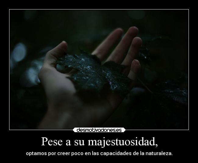 Pese a su majestuosidad, -