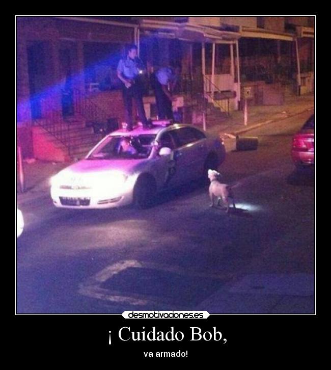 ¡ Cuidado Bob, -