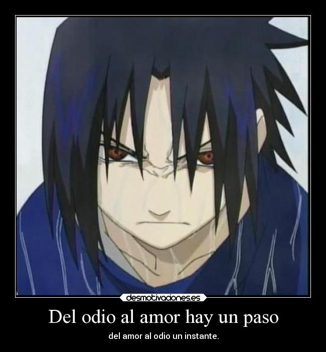 Del odio al amor hay un paso - 