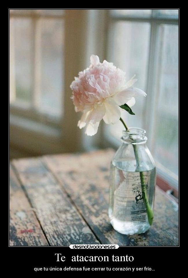 Te  atacaron tanto - que tu única defensa fue cerrar tu corazón y ser frío...