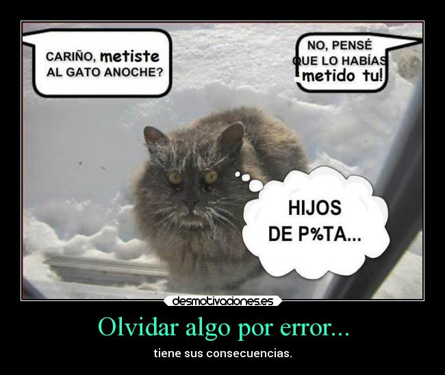 carteles olvidar graciosas gatos animales congelo ejercito mar desmotivaciones