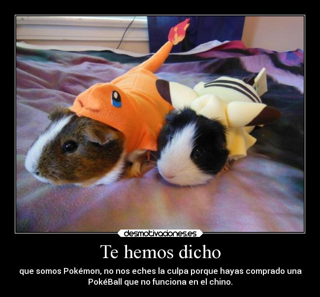 Te hemos dicho - que somos Pokémon, no nos eches la culpa porque hayas comprado una
PokéBall que no funciona en el chino.