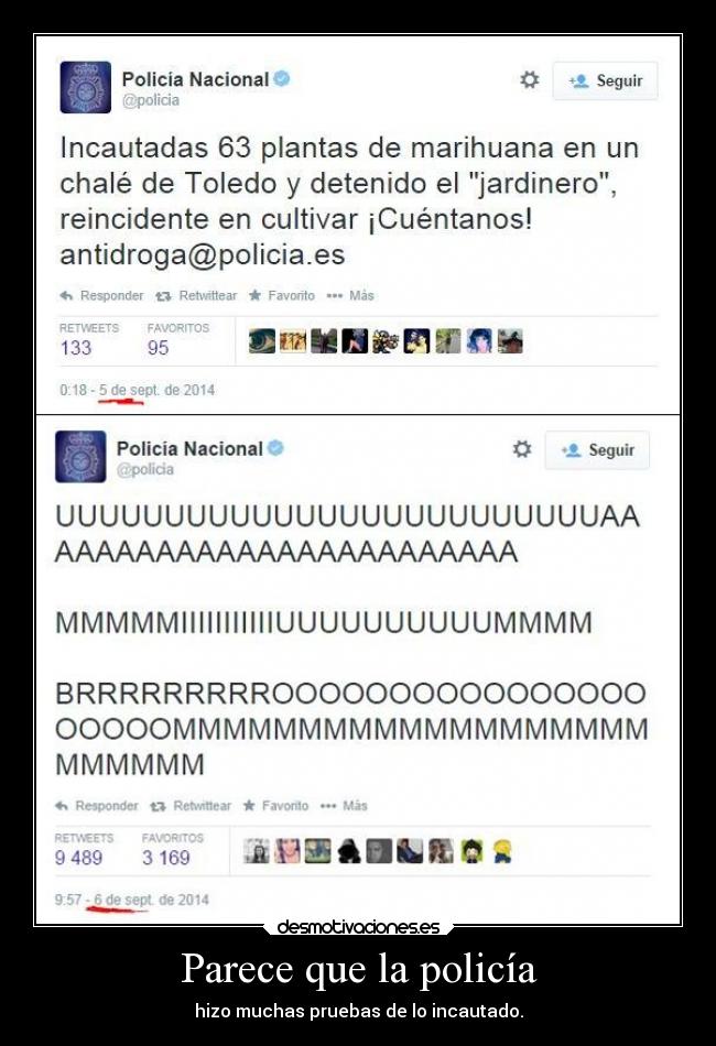 carteles problemas debilidad policia drogas corrupcion desmotivaciones