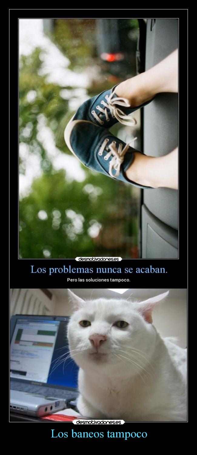 Los baneos tampoco -