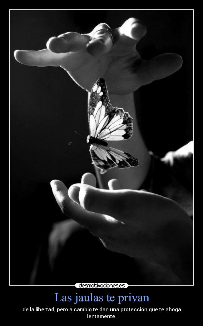 Las jaulas te privan - 