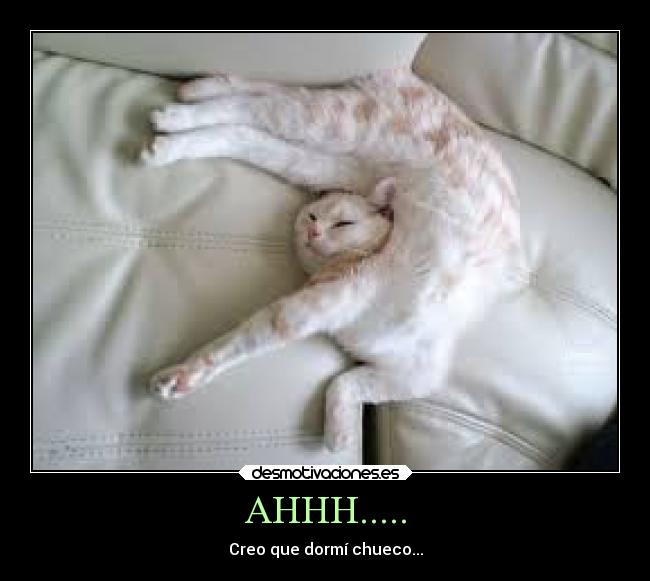 AHHH..... - Creo que dormí chueco...