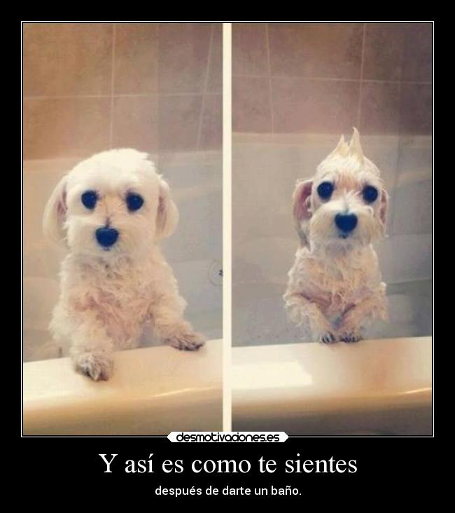 Y así es como te sientes - 