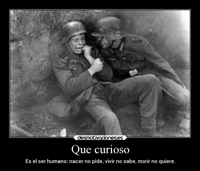 Que curioso - Es el ser humano: nacer no pide, vivir no sabe, morir no quiere.