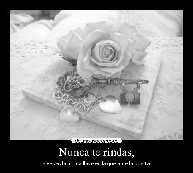 Nunca te rindas, -
