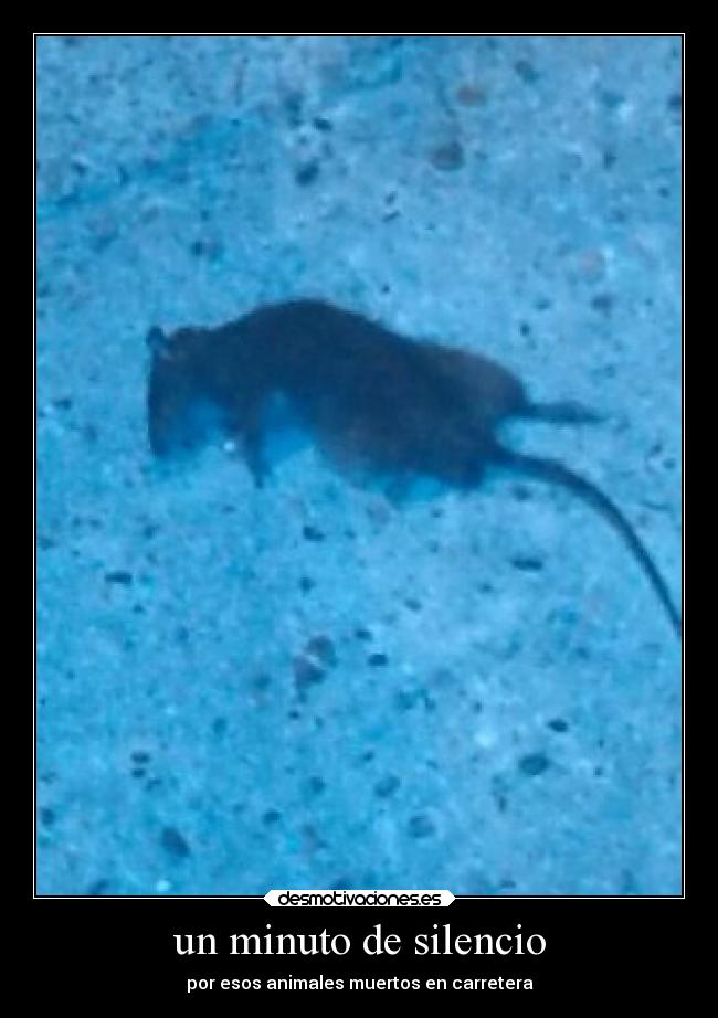 un minuto de silencio -