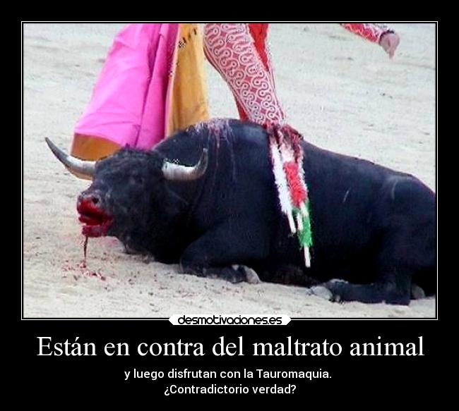 Están en contra del maltrato animal - y luego disfrutan con la Tauromaquia. 
¿Contradictorio verdad?