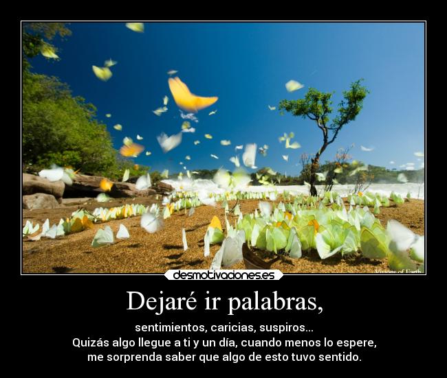 Dejaré ir palabras, -