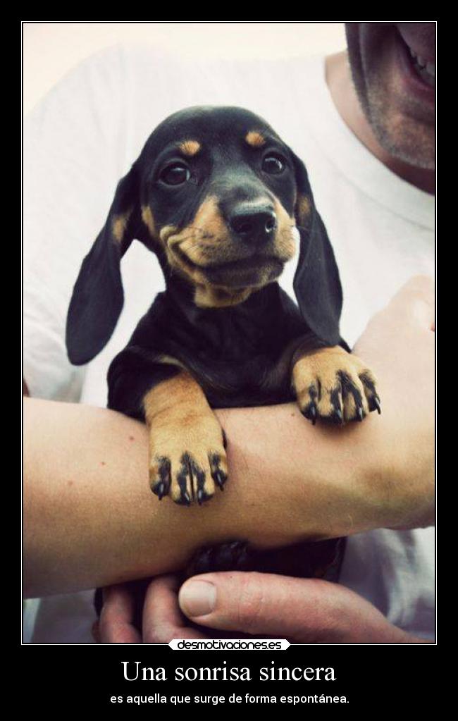 Una sonrisa sincera - 
