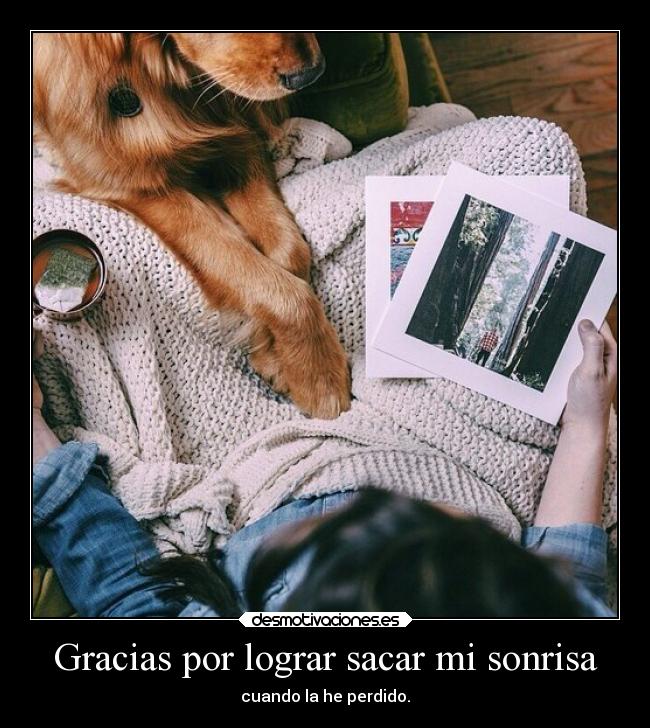 carteles sonrisa animales amistad alma vagueoluegoexisto lloroensilencio desmotivaciones
