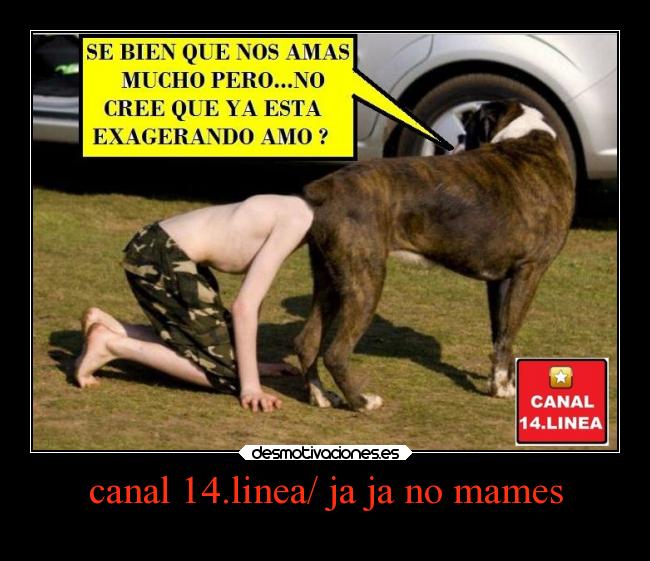 carteles sonrisa tonto risa locura graciosas amor amigos alegria desmotivaciones