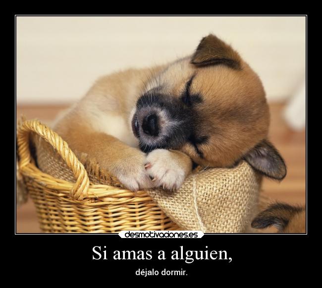 Si amas a alguien, - 