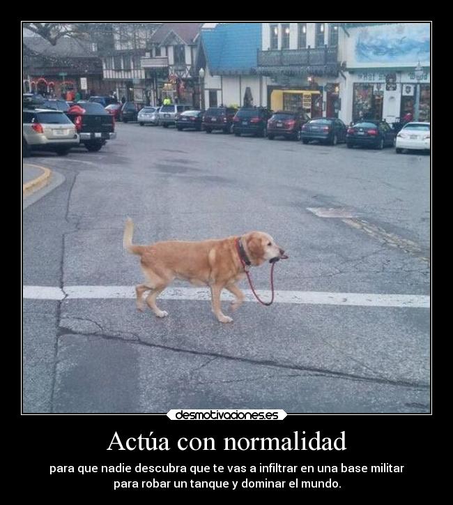 Actúa con normalidad - para que nadie descubra que te vas a infiltrar en una base militar
para robar un tanque y dominar el mundo.